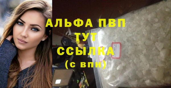 стафф Арсеньев