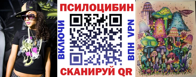 Псилоцибиновые грибы Psilocybine cubensis  Красавино 